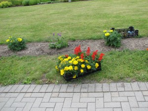 IMG_0227