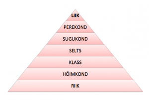 taksonoomiline hierarhia