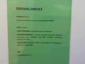 külviruumi kirjeldus