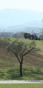 spreading manure, an organic fertilizer